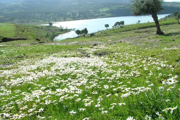 Hotel El Mouradi Hammam Bourguiba (Ain Draham)